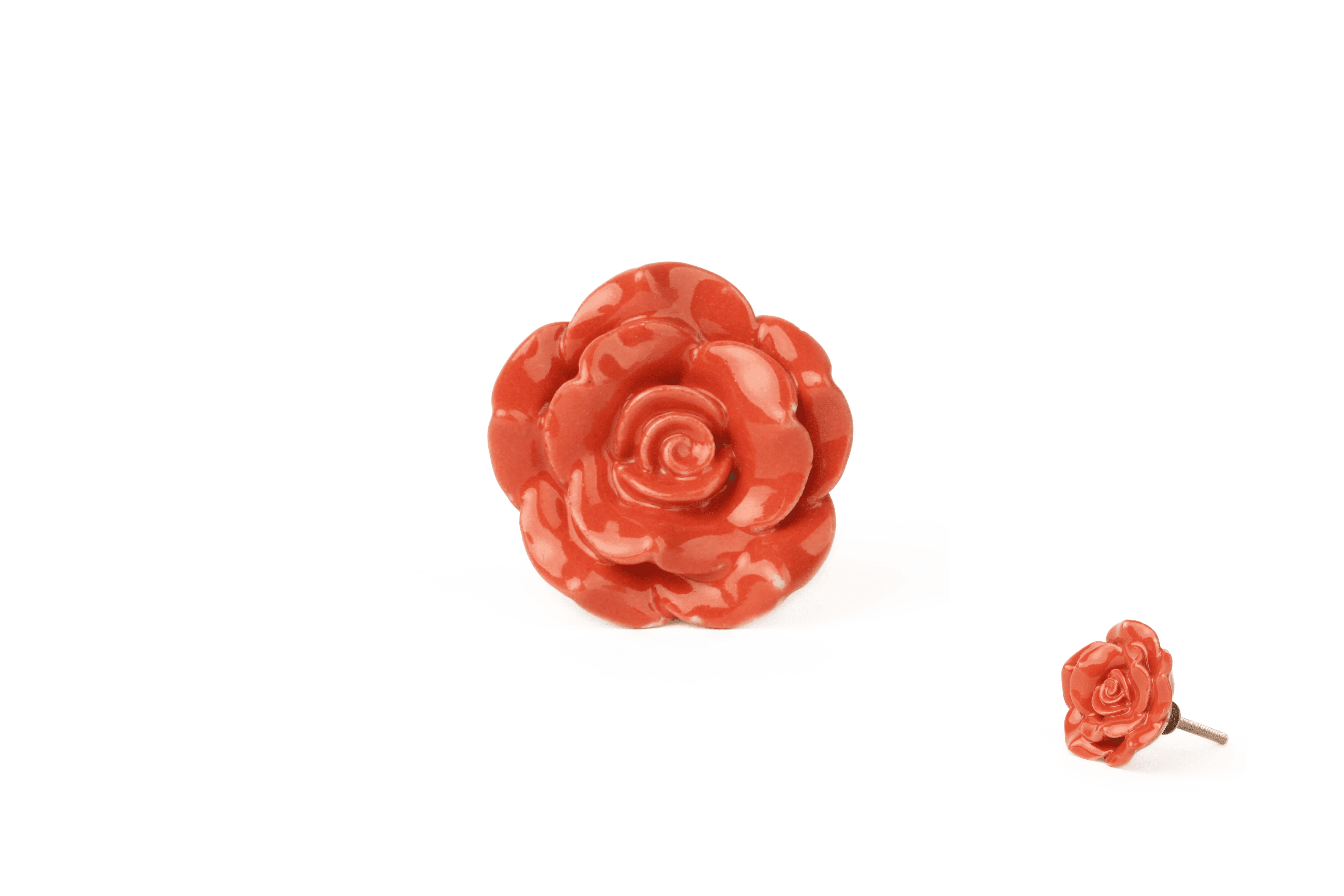 Knauf geöffnete Blüte rot