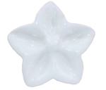 Knauf Sternblume weiß